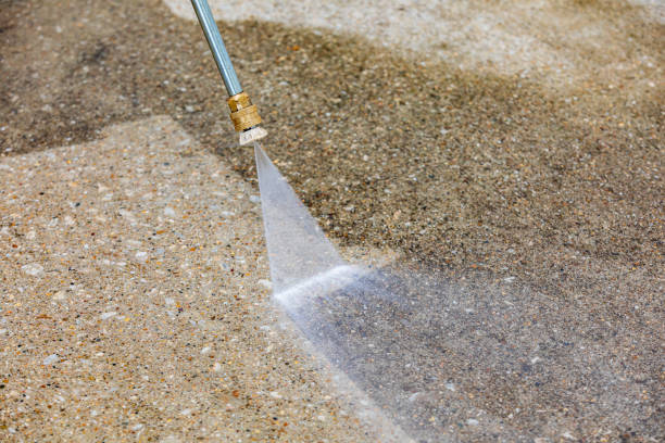 Best Driveway Pressure Washing  in Andover, MN