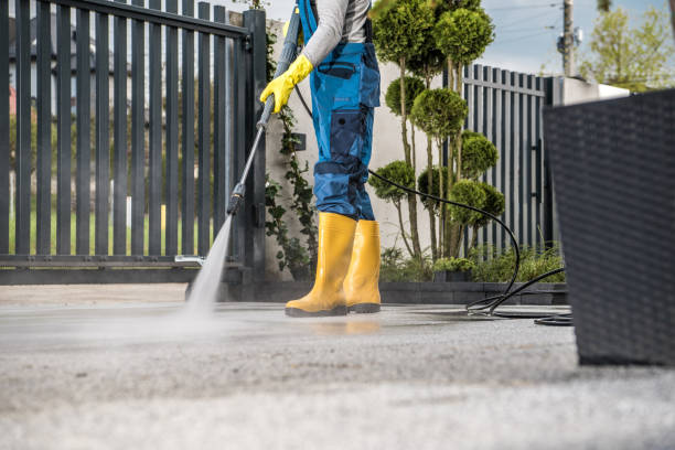 Best Roof Washing  in Andover, MN